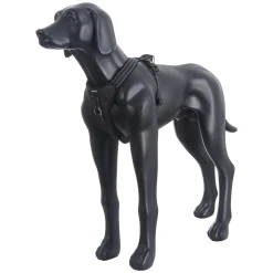 Icepeak Pet Highway harness