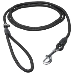 Icepeak Pet Winner color leash
