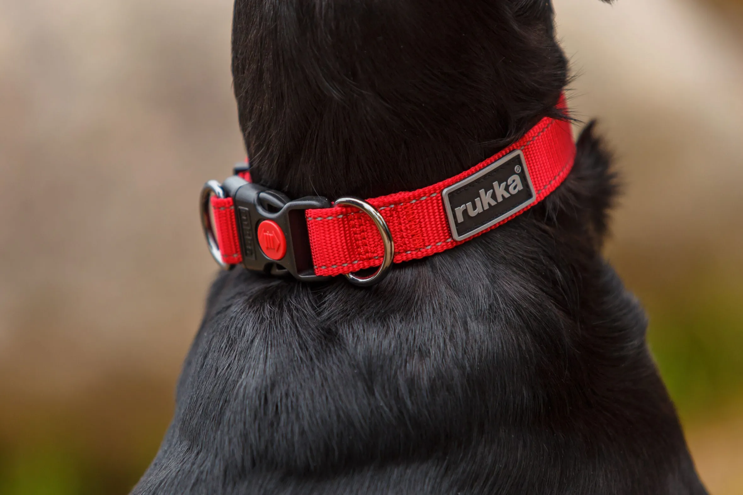 Rukka Pets Bliss collar