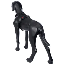 Rukka Pets Bliss Harness