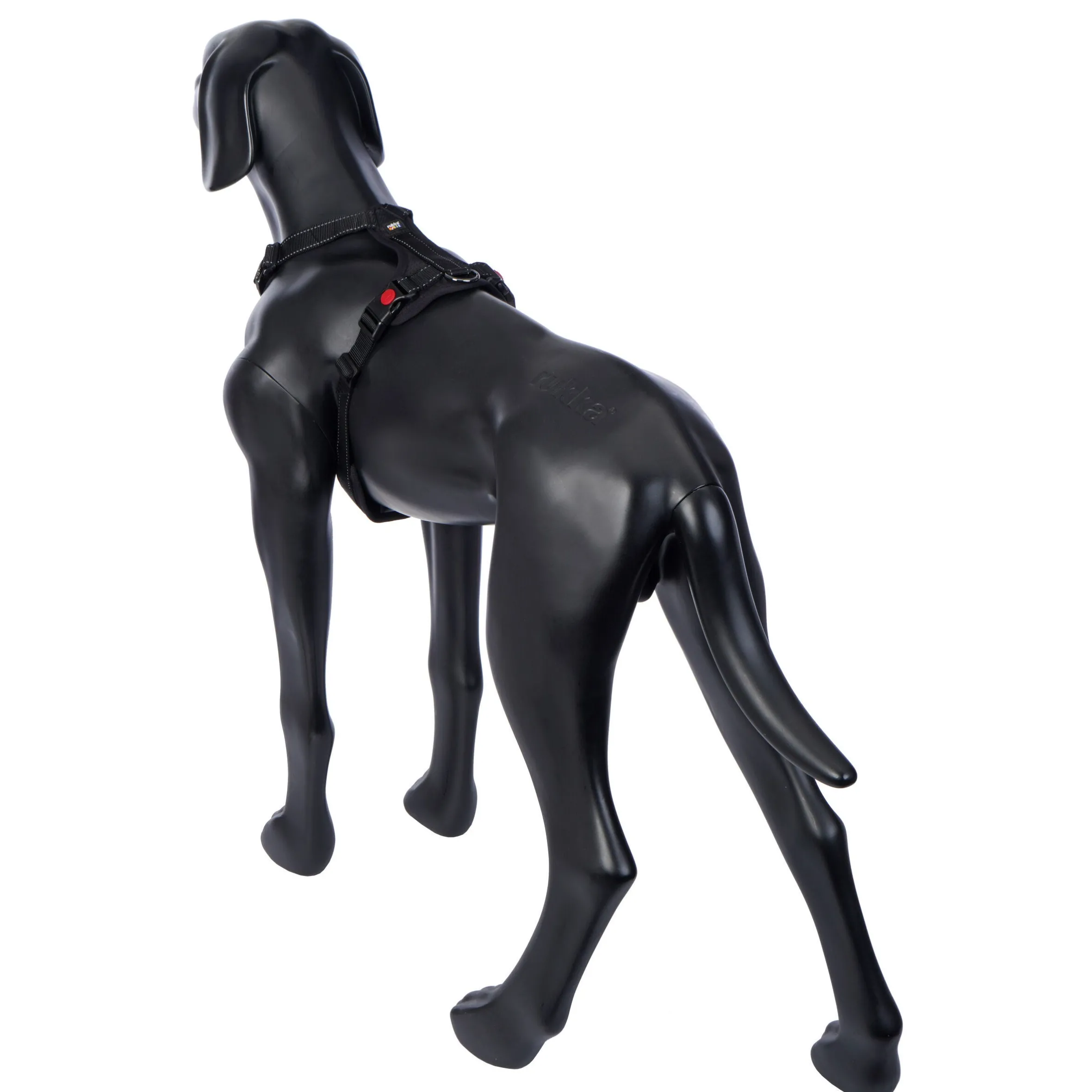 Rukka Pets Bliss Harness
