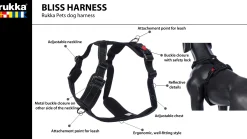 Rukka Pets Bliss Harness