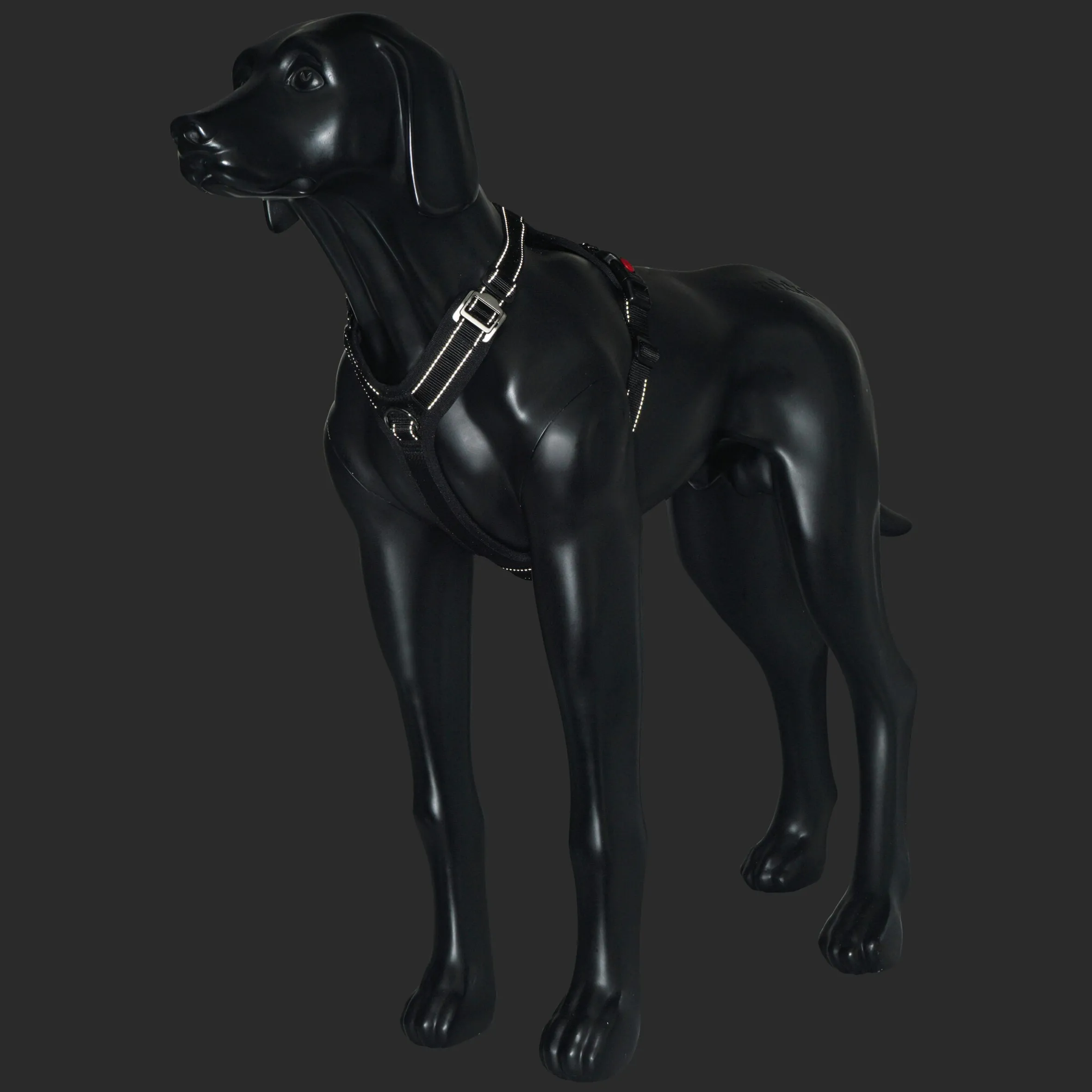Rukka Pets Bliss Harness