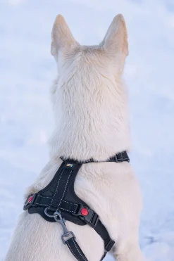 Rukka Pets Bliss Harness