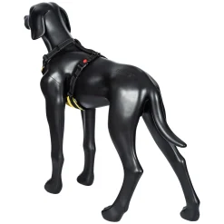 Rukka Pets Bliss x harness