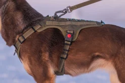 Rukka Pets Bliss x trek Harness