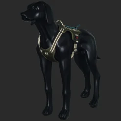 Rukka Pets Bliss x trek Harness