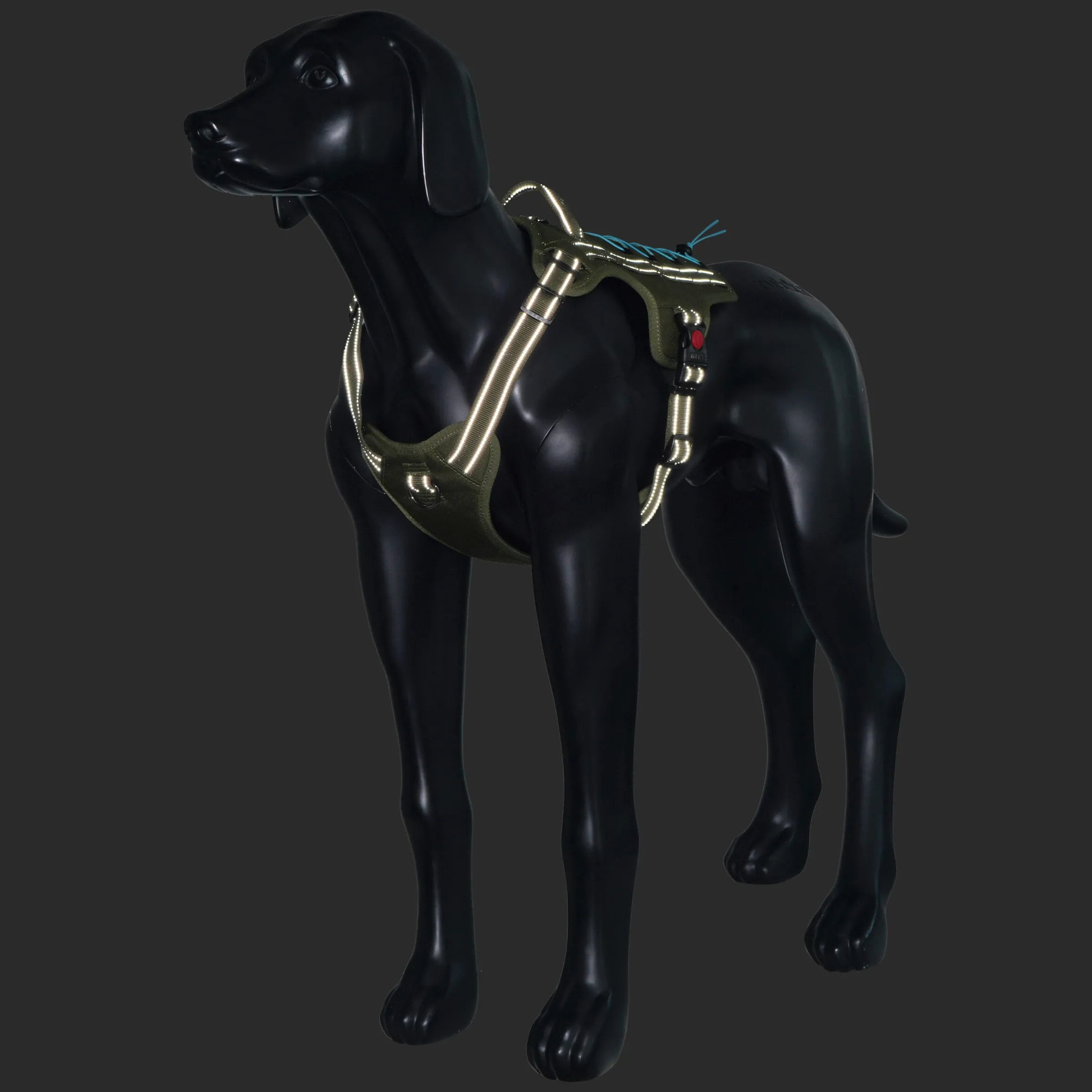 Rukka Pets Bliss x trek Harness