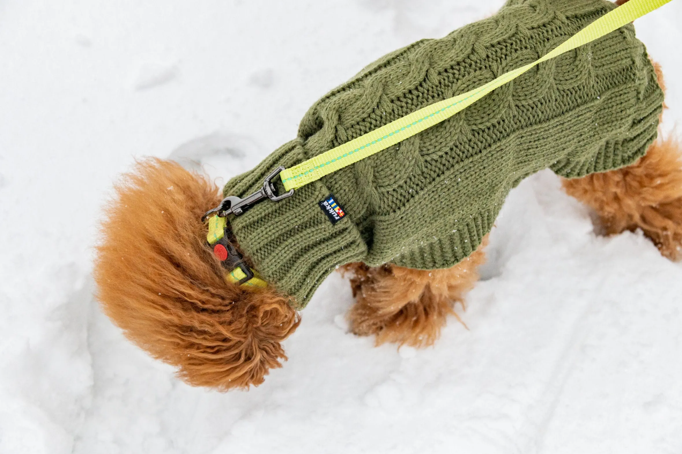 Rukka Pets Cheery tiny leash