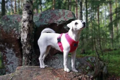 Rukka Pets Comfort air harness