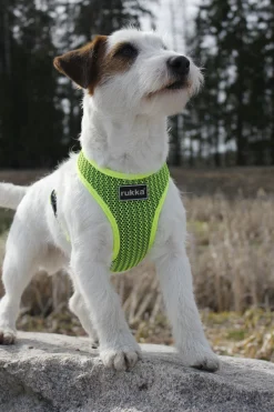 Rukka Pets Comfort air harness