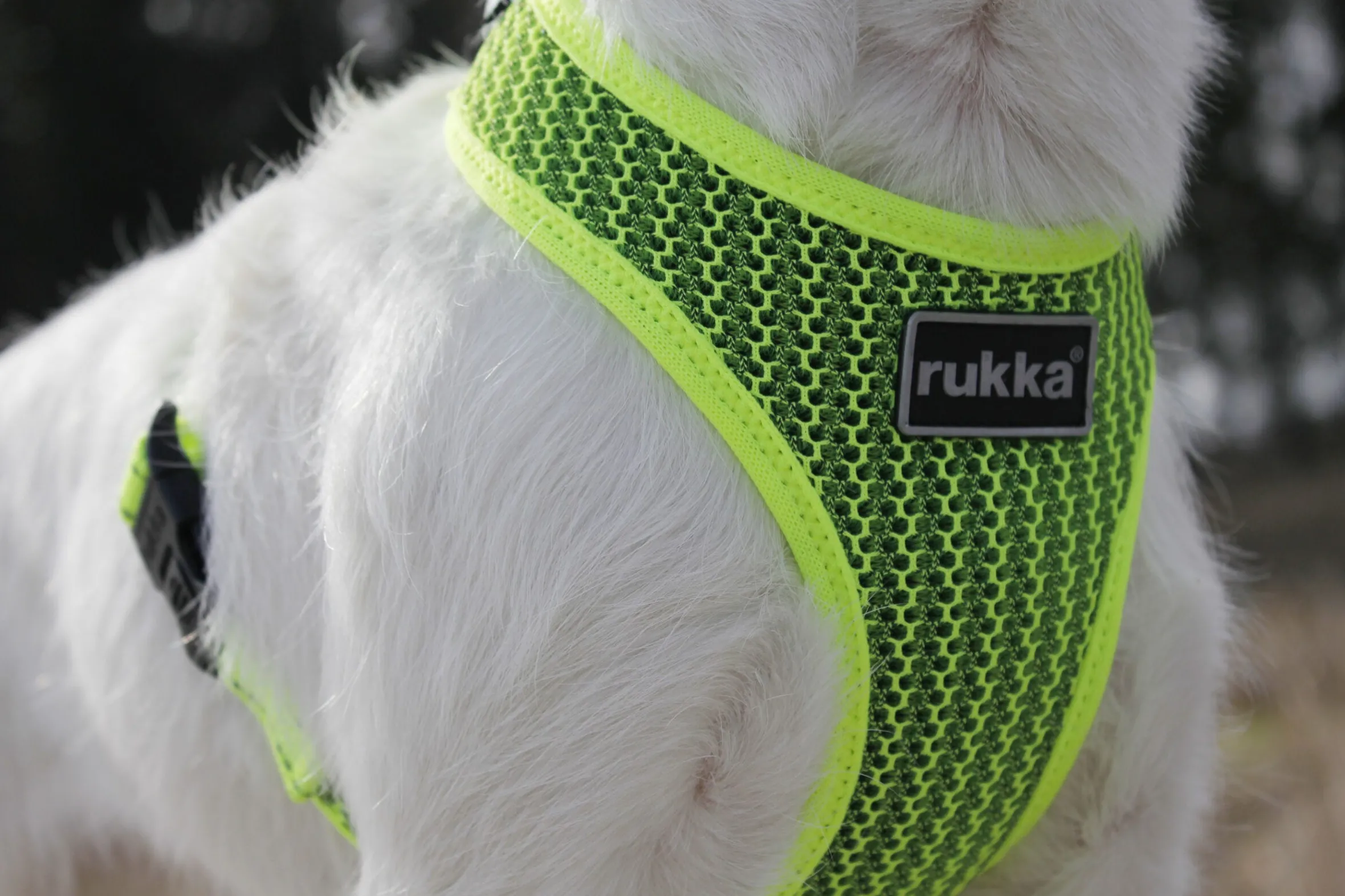 Rukka Pets Comfort air harness