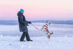 Rukka Pets Form harness