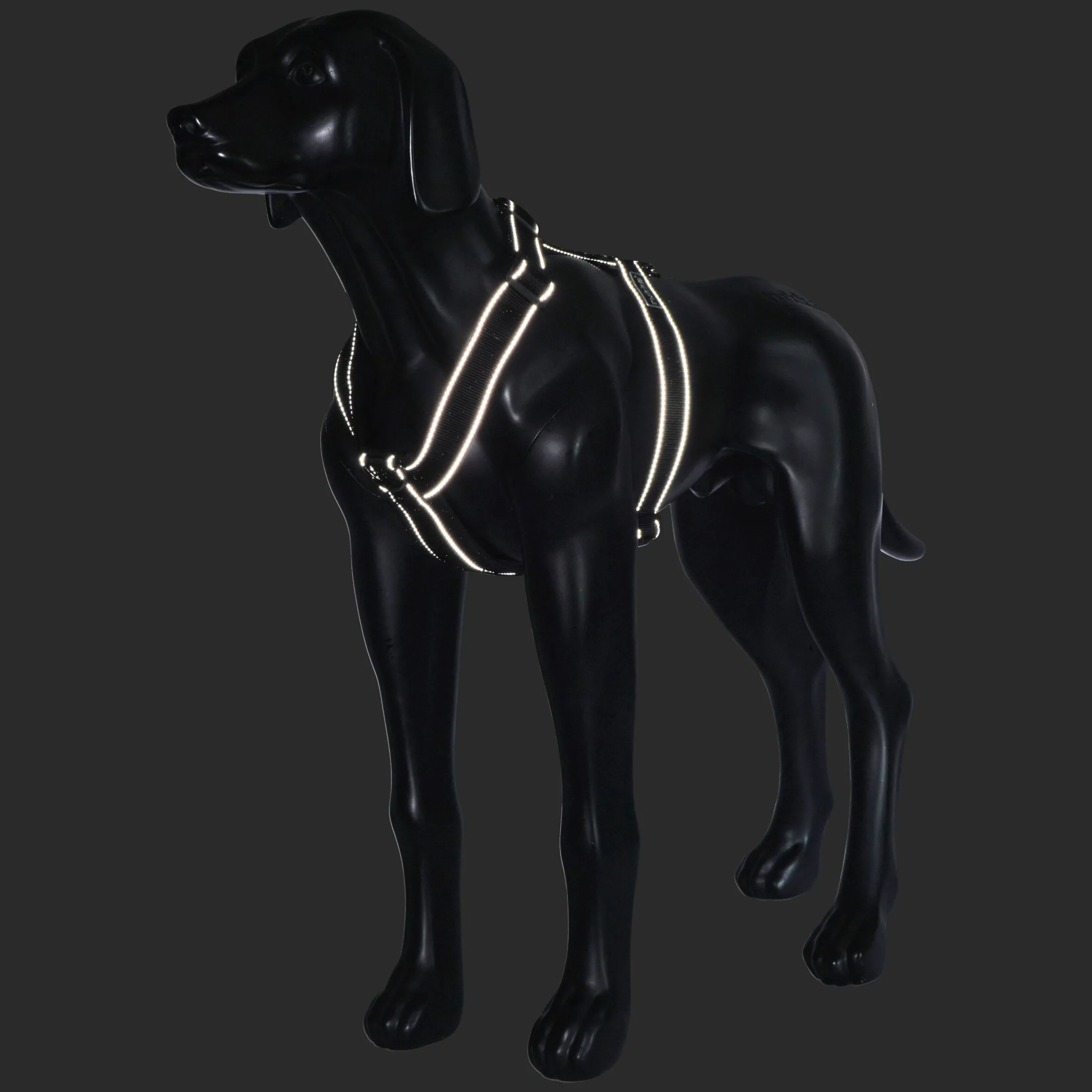 Rukka Pets Form harness