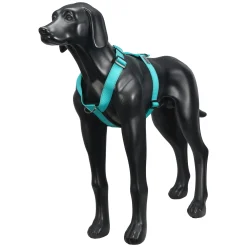 Rukka Pets Form harness