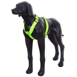 Rukka Pets Form neon harness