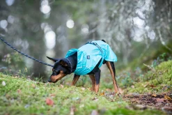 Rukka Pets Hase raincoat