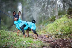 Rukka Pets Hase raincoat