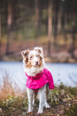 Rukka Pets Hase raincoat