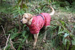 Rukka Pets Hayton warm raincoat