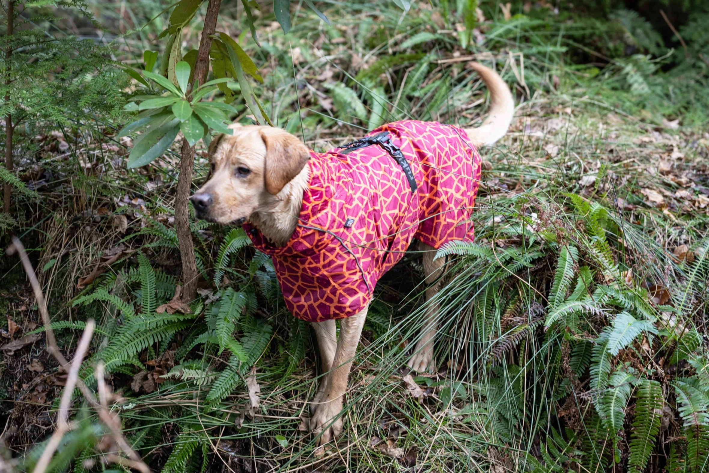 Rukka Pets Hayton warm raincoat