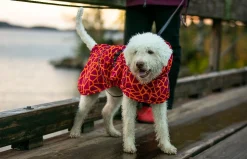 Rukka Pets Hayton warm raincoat