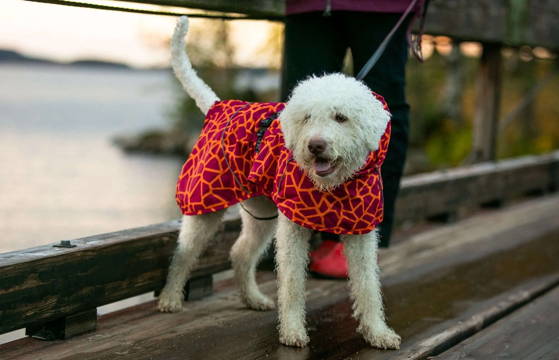 Rukka Pets Hayton warm raincoat
