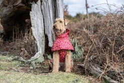 Rukka Pets Hayton warm raincoat