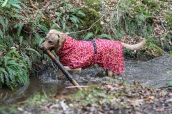 Rukka Pets Hayton warm raincoat
