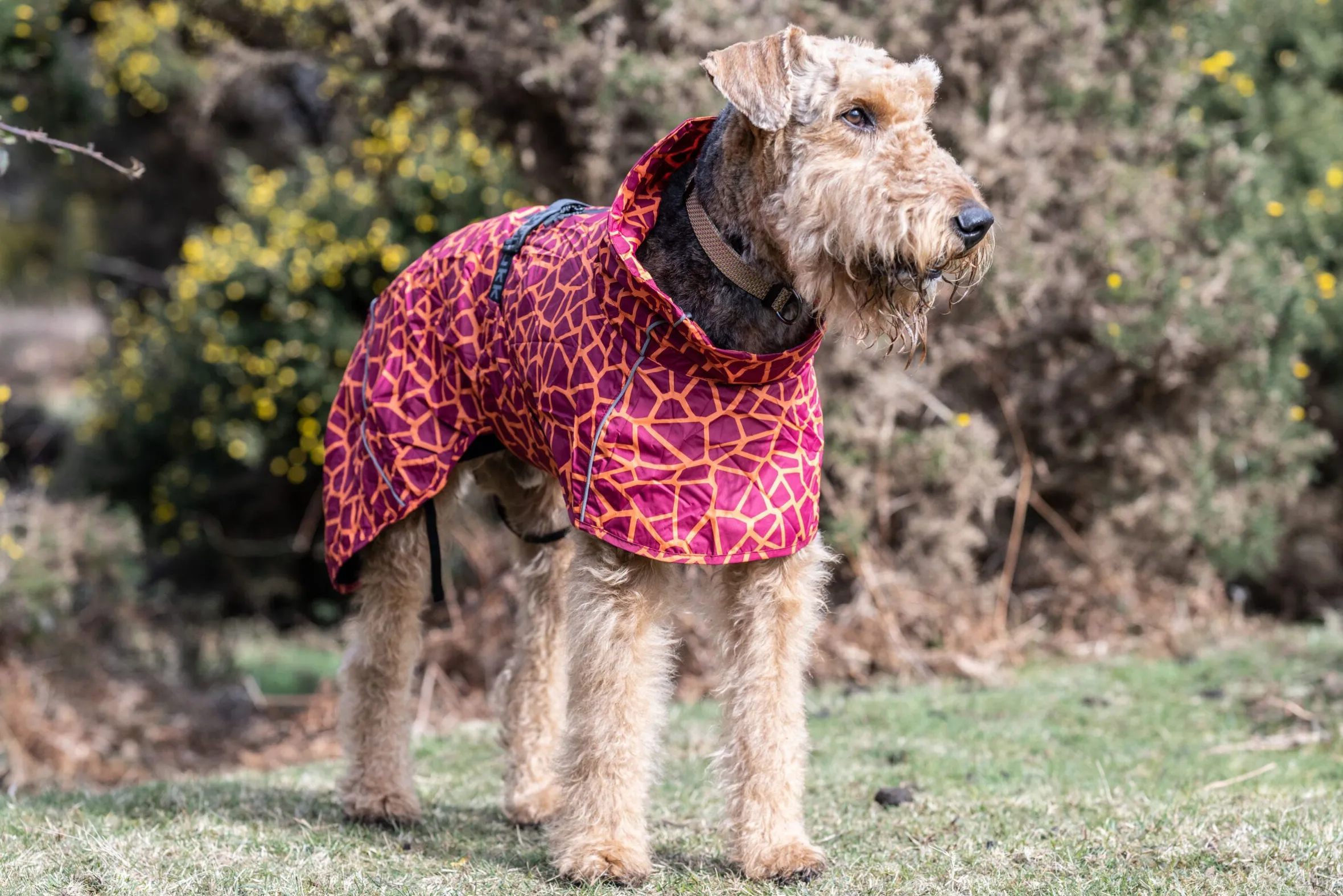 Rukka Pets Hayton warm raincoat
