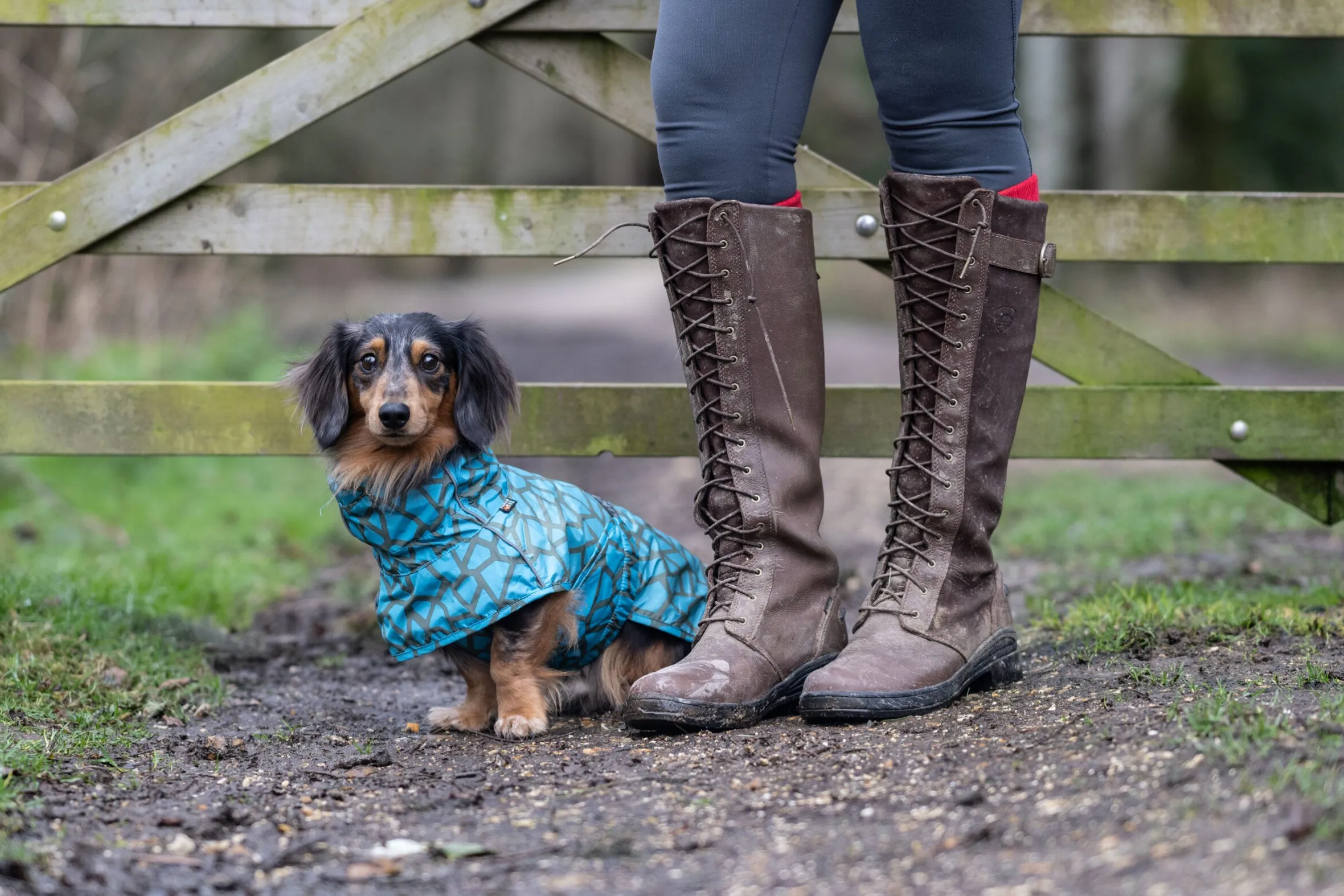 Rukka Pets Hayton warm raincoat
