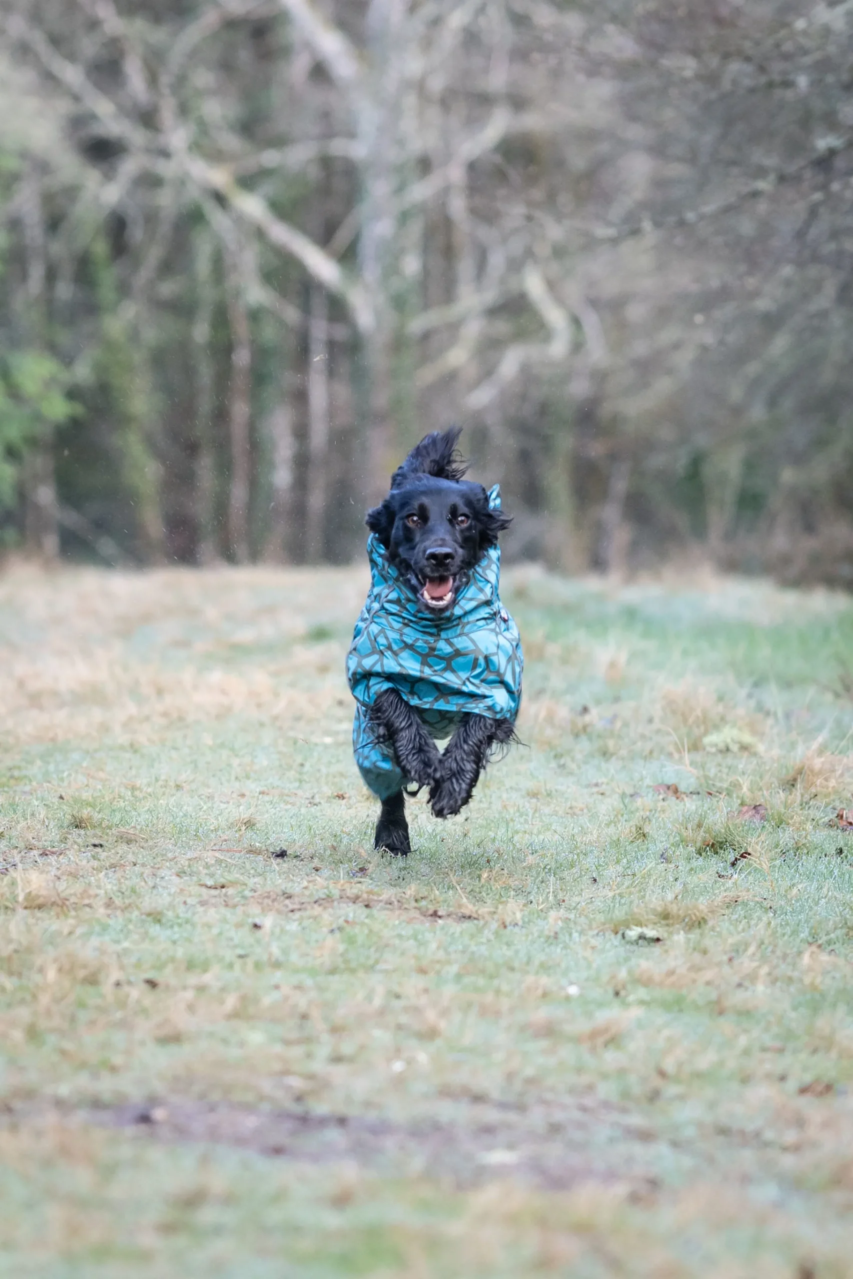 Rukka Pets Hayton warm raincoat