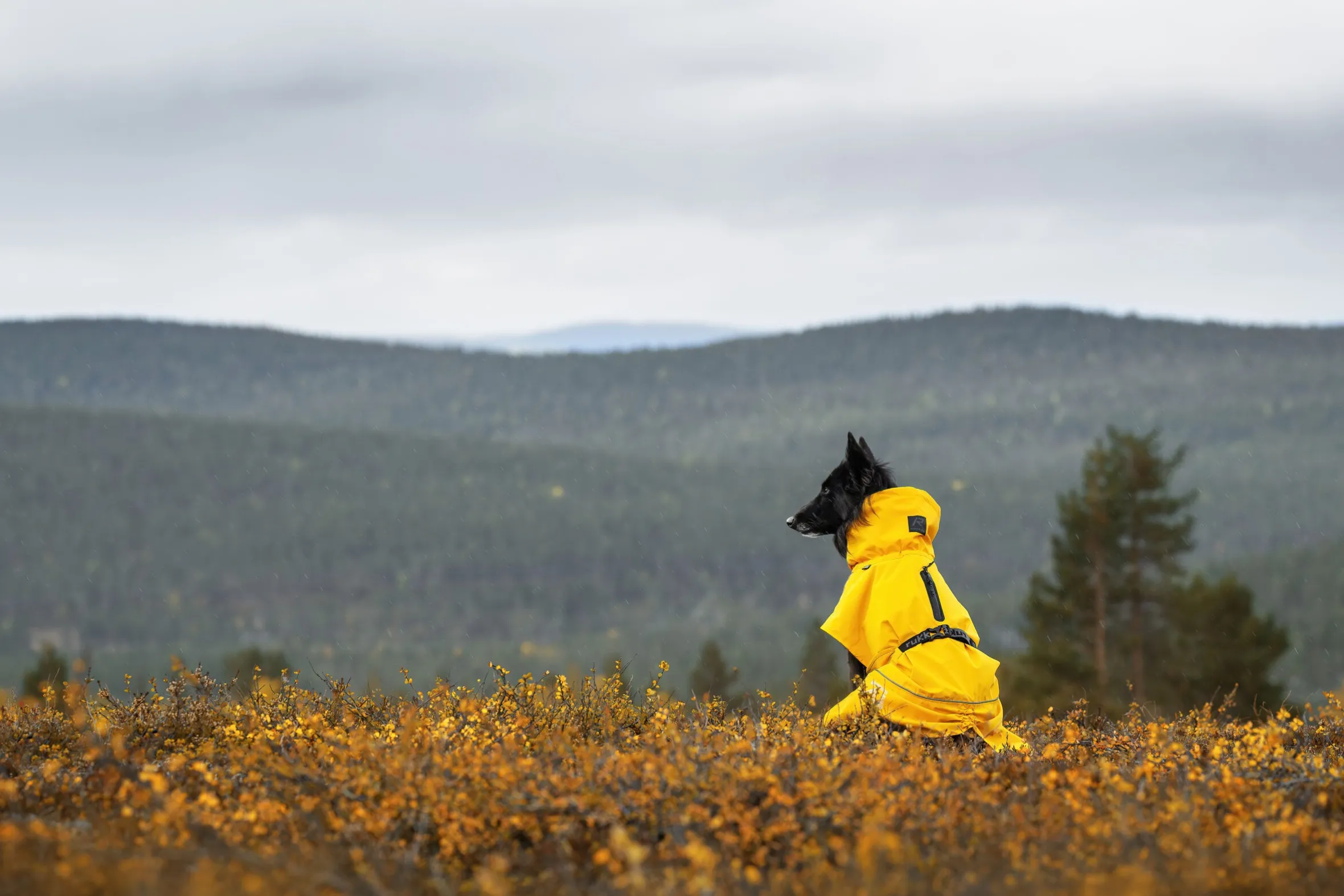 Rukka Pets Hayton x raincoat