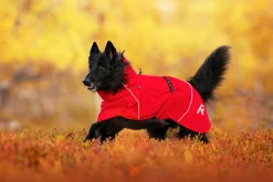 Rukka Pets Hayton x raincoat