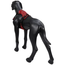 Rukka Pets Hike Harness