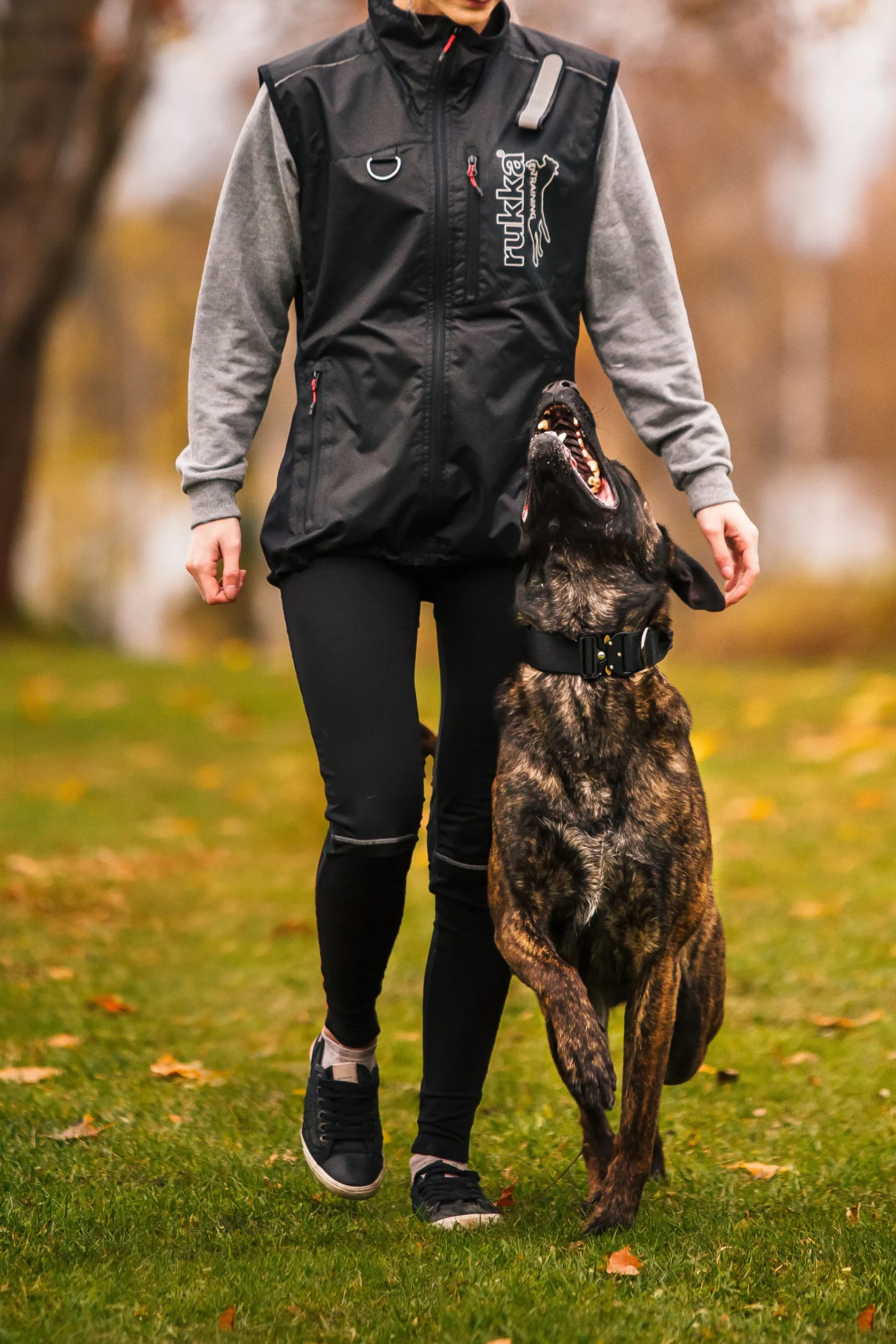 Rukka Pets Mission collar