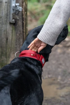 Rukka Pets Mission collar