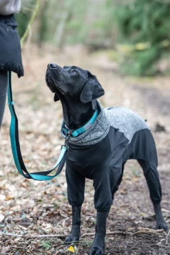 Rukka Pets Solid collar