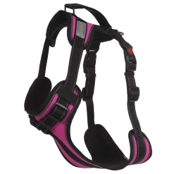 Rukka Pets Solid harness