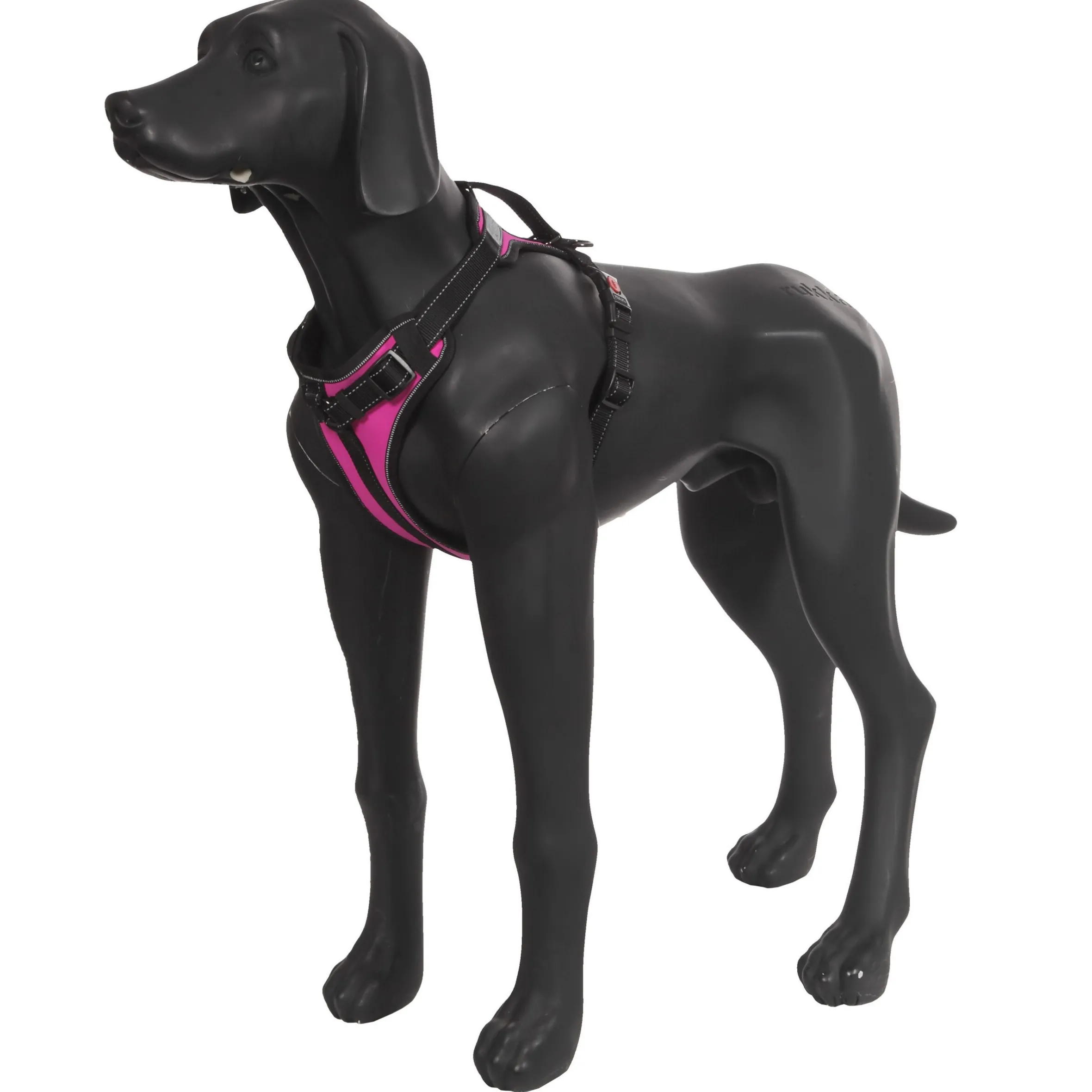 Rukka Pets Solid harness