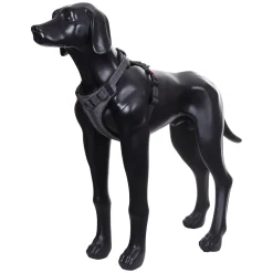 Rukka Pets Star harness
