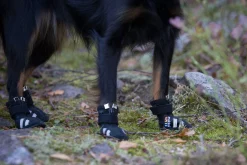 Rukka pets Step shoes