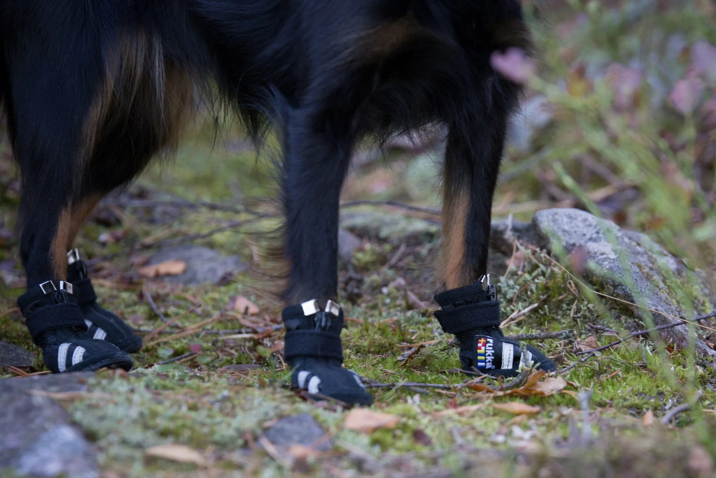 Rukka pets Step shoes