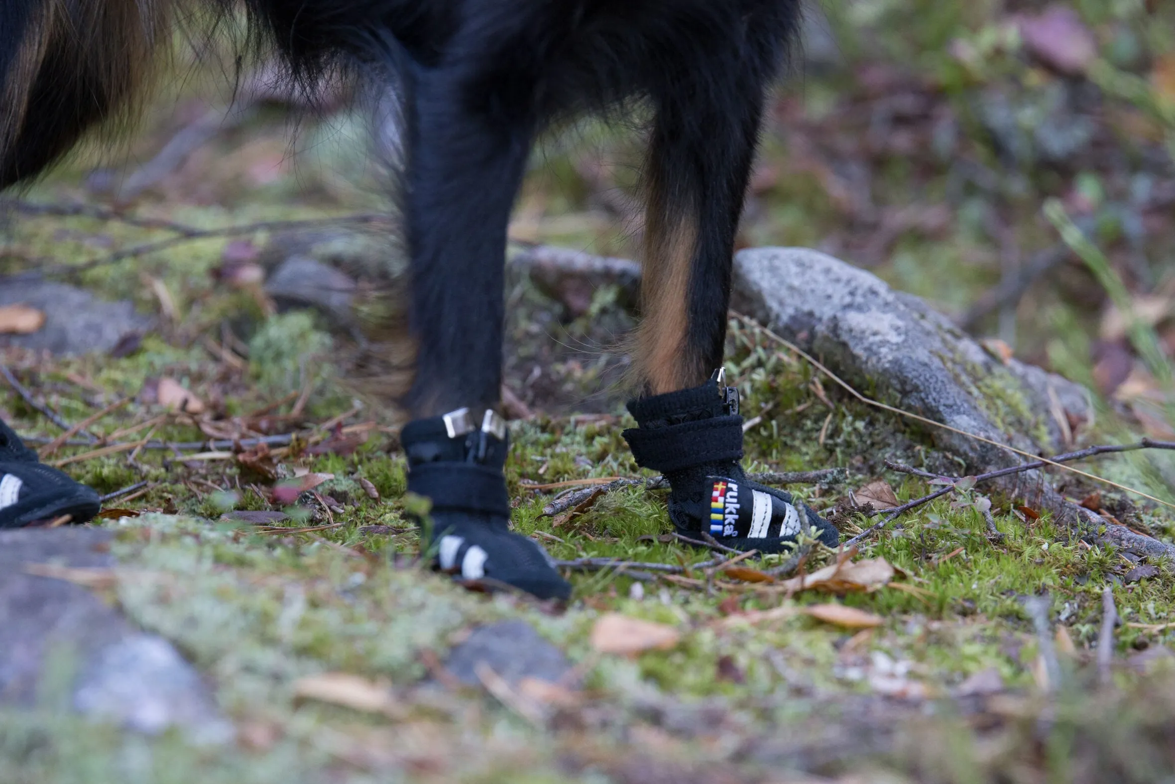 Rukka pets Step shoes