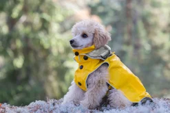 Rukka Pets Stream raincoat