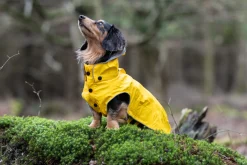 Rukka Pets Stream raincoat