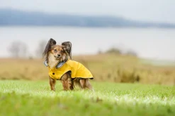 Rukka Pets Stream raincoat