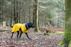 Rukka Pets Stream raincoat