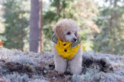 Rukka Pets Stream raincoat