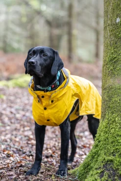 Rukka Pets Stream raincoat